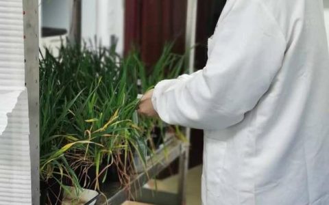 閃光青春③丨他參與了“種子上天”科研項(xiàng)目 一直相信越努力越幸運(yùn)