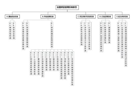 全國項目管理標準體系建設指南（項目管理指南 國家標準）