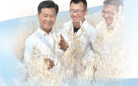 任長忠?guī)ьI(lǐng)團(tuán)隊開展科研攻關(guān)——破譯裸燕麥基因密碼（講述·弘揚(yáng)科學(xué)家精神）
