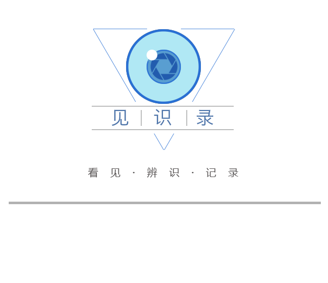 雙向6車道，全長1.6公里，楊高中路改建雙“人”字形高架跨線橋主線通車